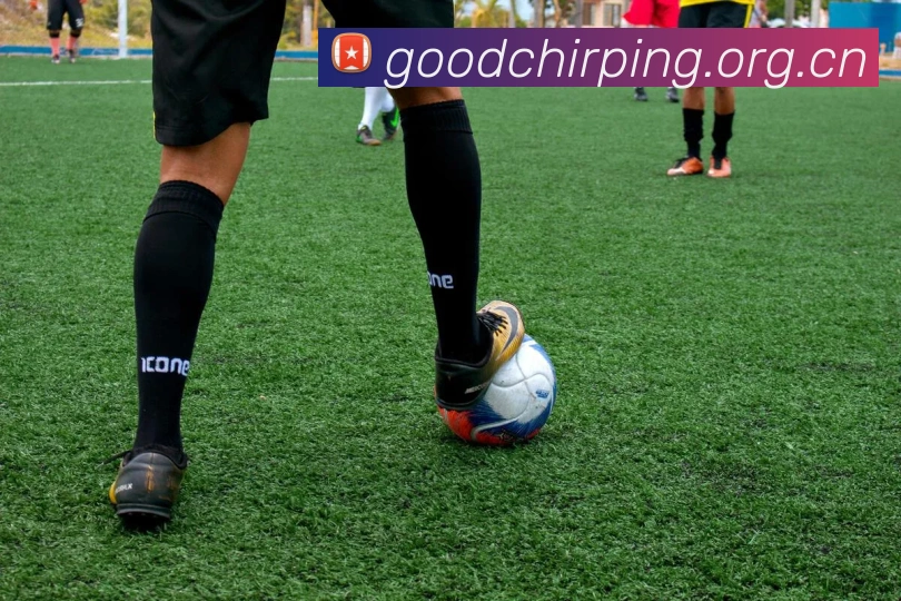 App Interface Preview